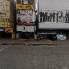 퍼피플라워(puppyflower)