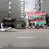 퍼피플라워(puppyflower)_3