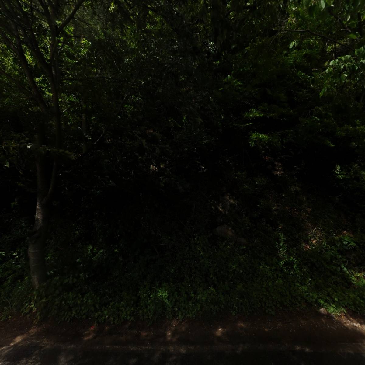 리얼쉘터 REAL SHELTER_3