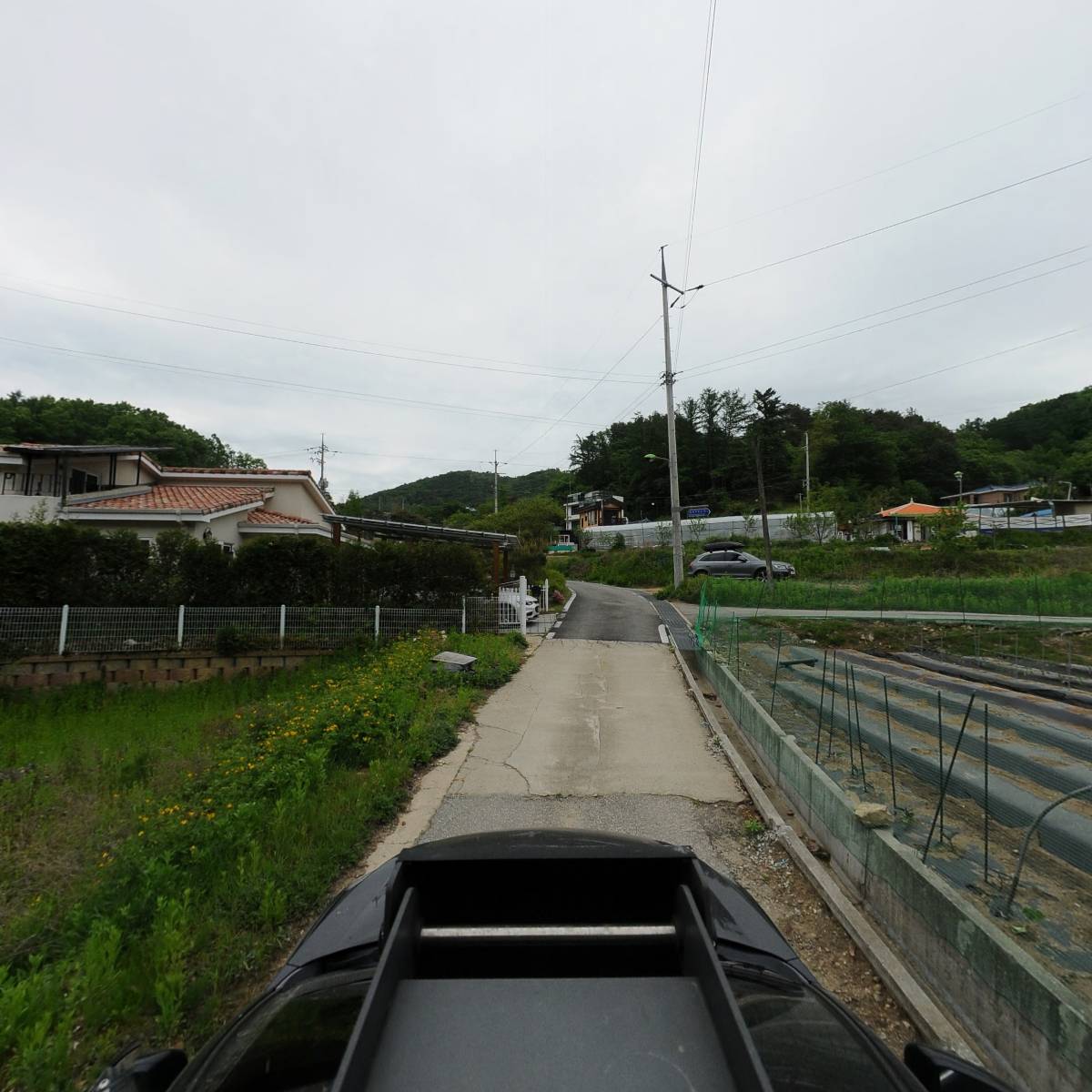 나무의 모든것（나모)_4