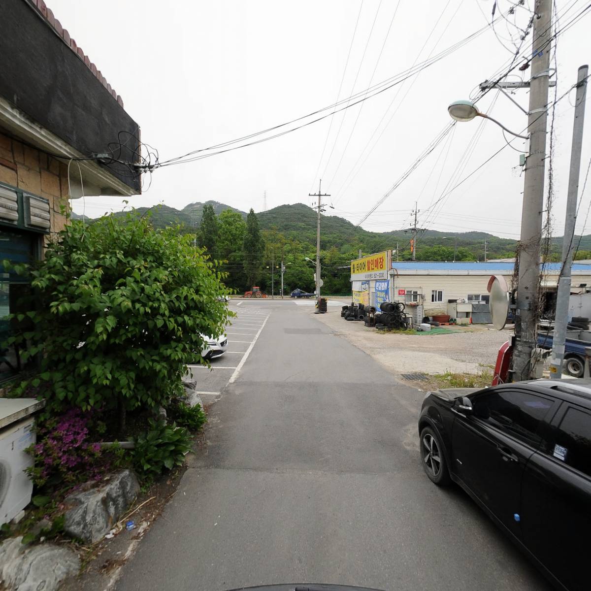 디어마이선_2