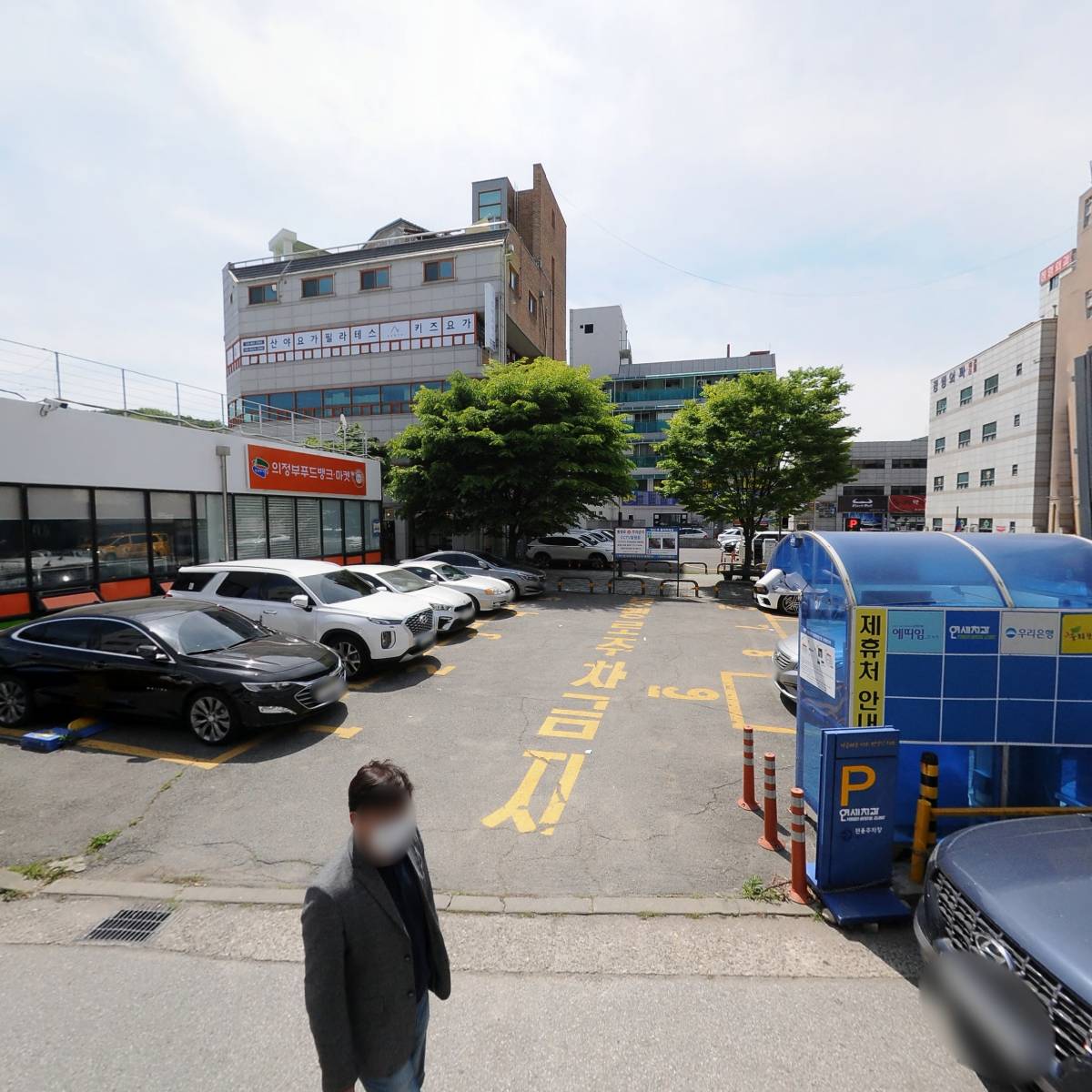 사과나무디자인