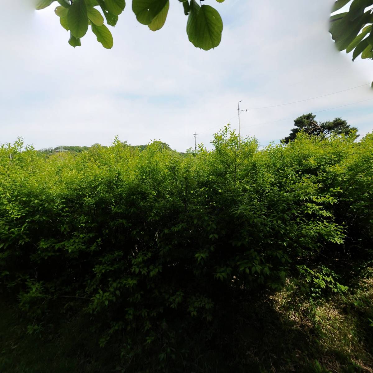 (주) 도원에프앤비