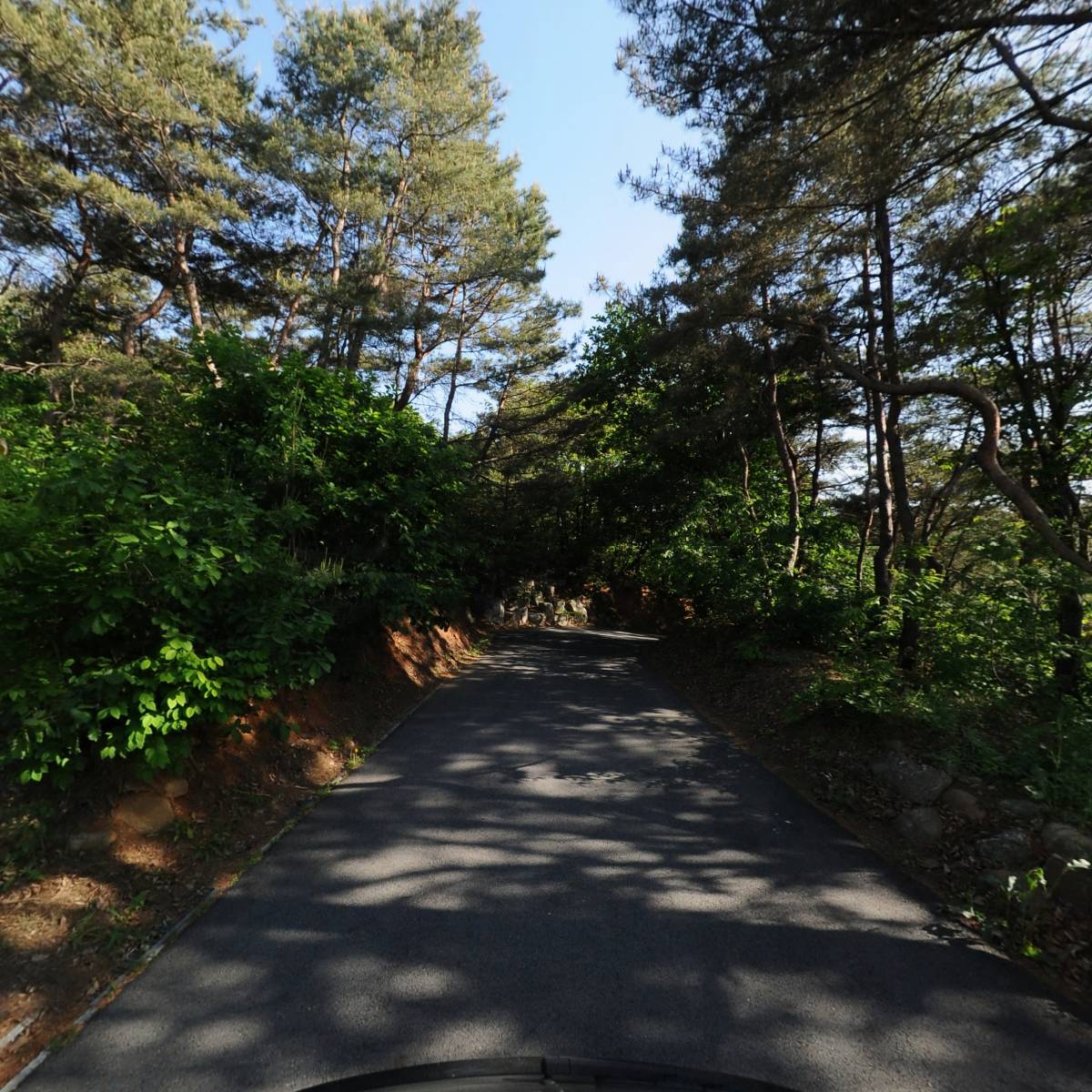 주식회사 카포레_2