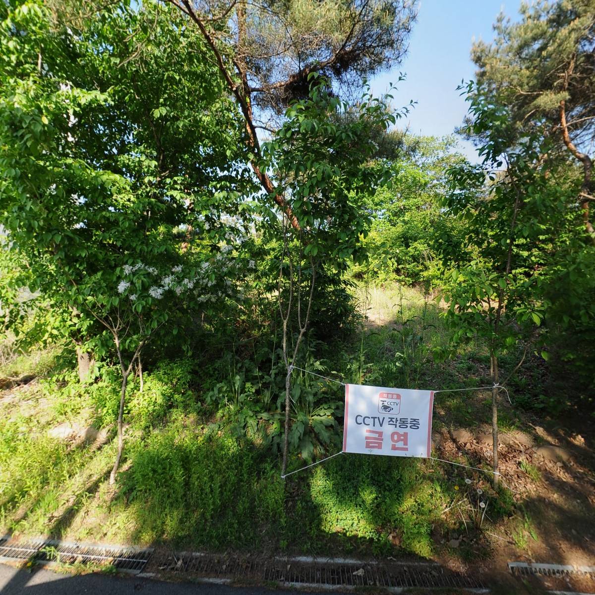 주식회사 카포레