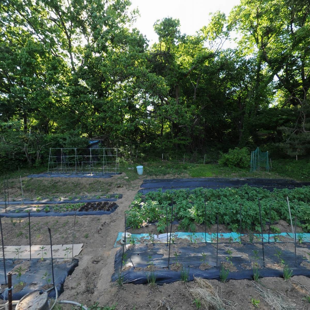 꿈틀꿈틀공동육아어린이집