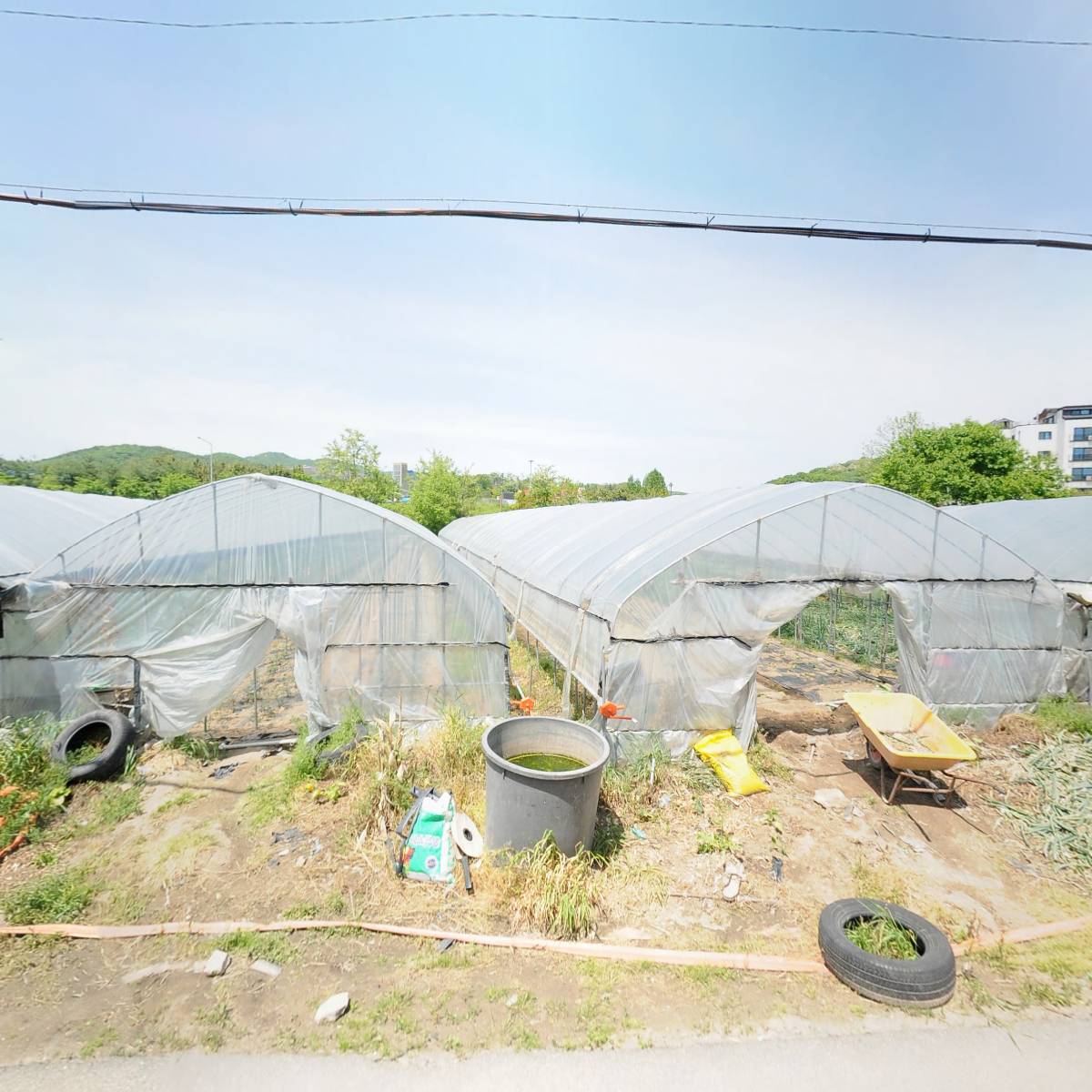 주식회사쿡프랜즈