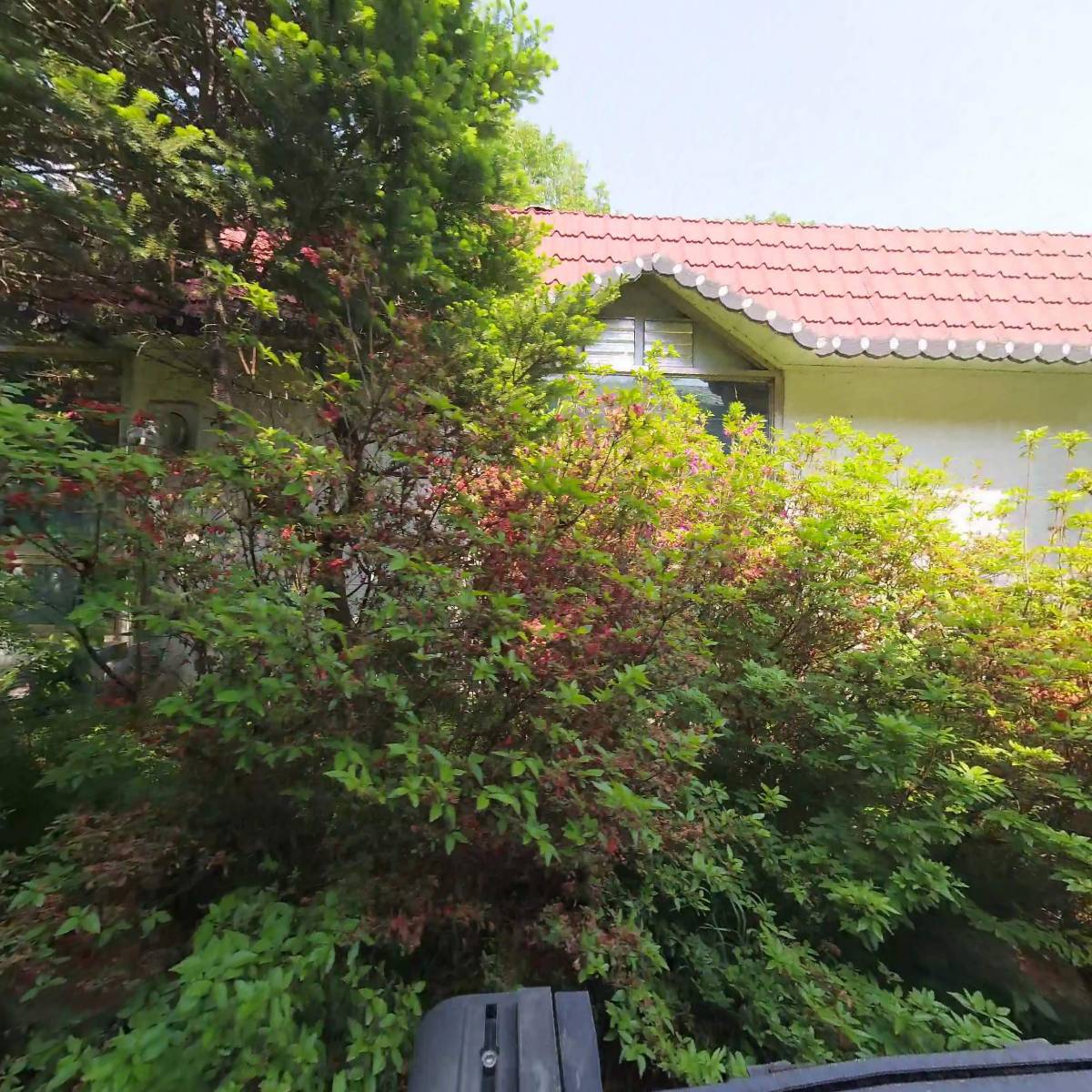 고려동물약품상사_3