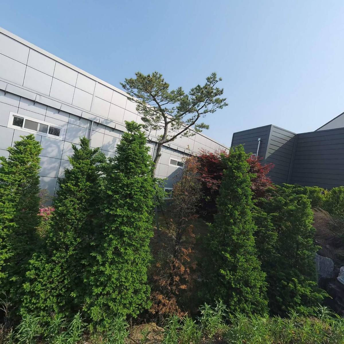 주식회사 온힐 (Onheal Co., Ltd.)