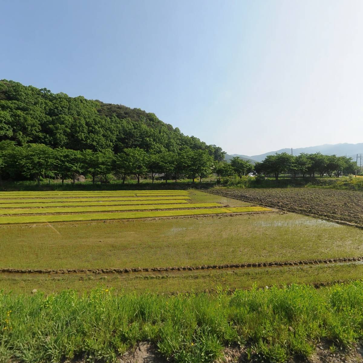 농심대리점 신양상사