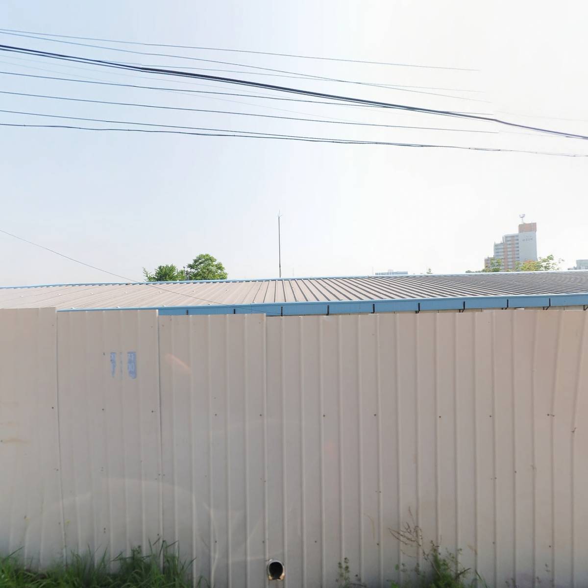 대진상사