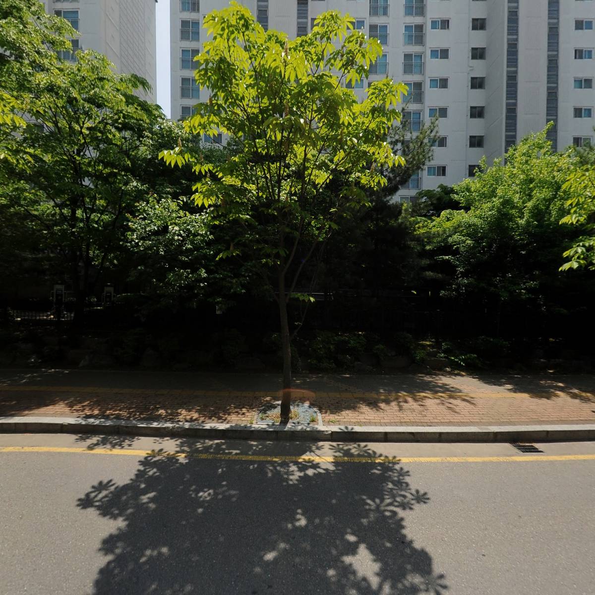 빽다방 오산세교금암점_3
