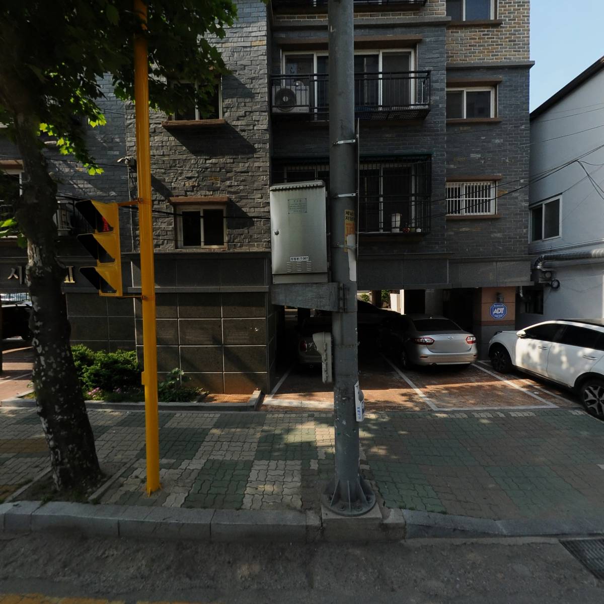 빅코