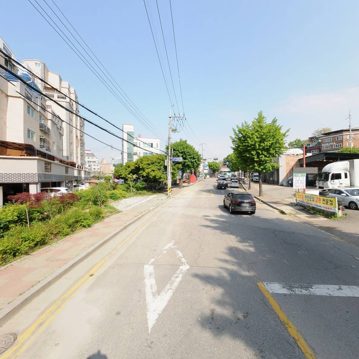 이프유마인_2
