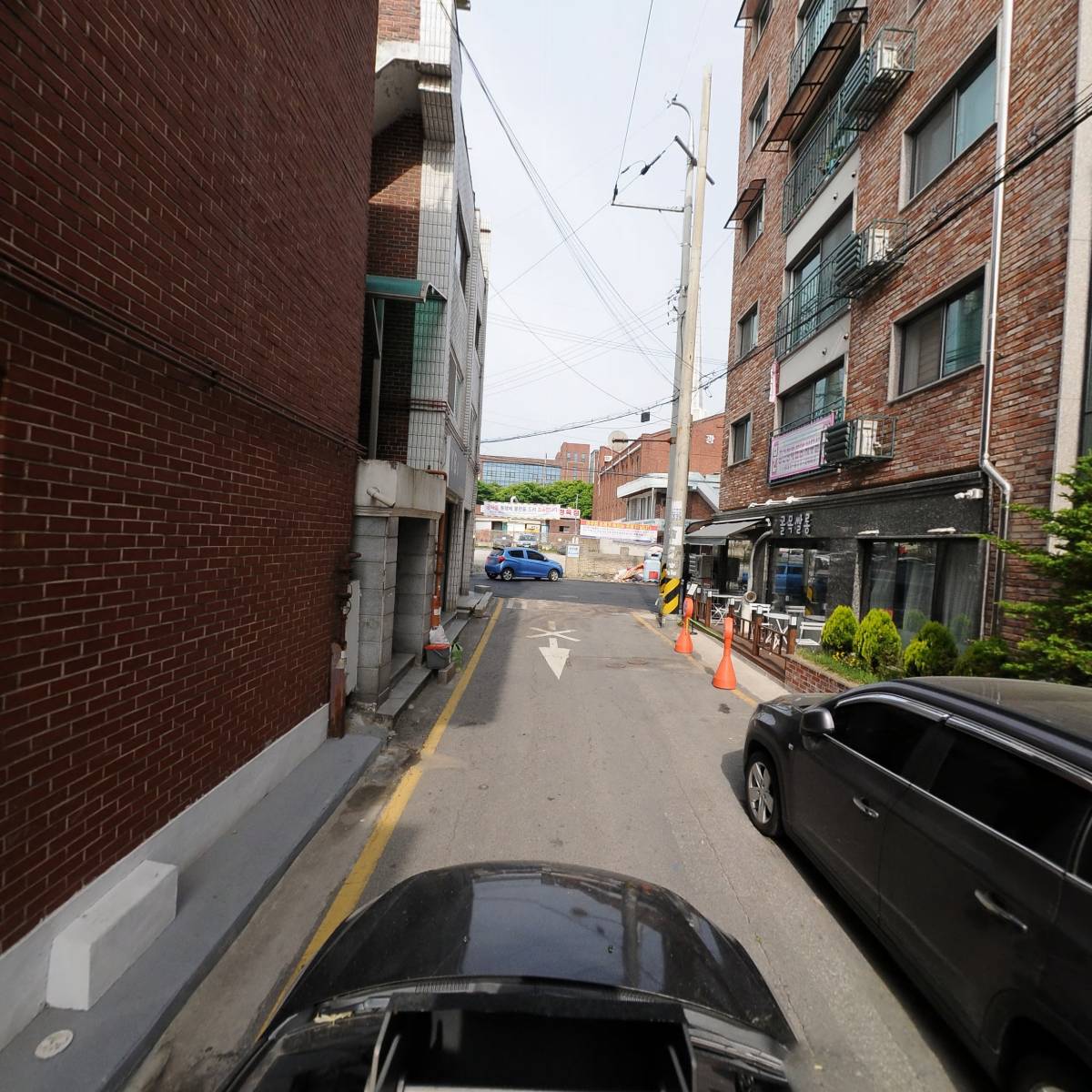 달리_4