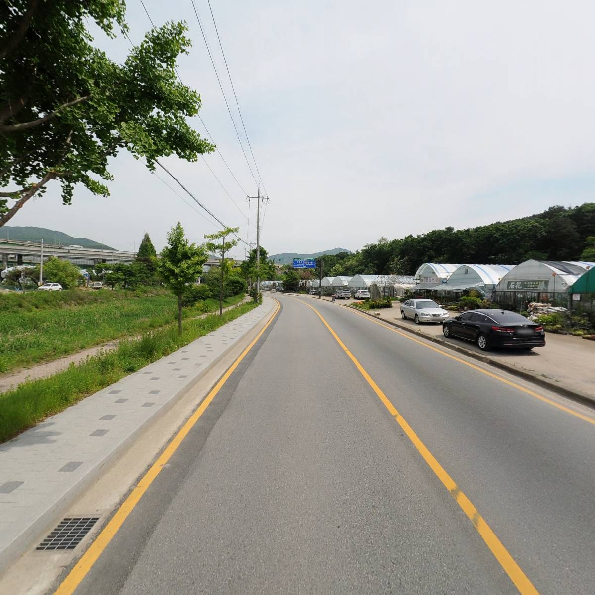 풀빛세상_2