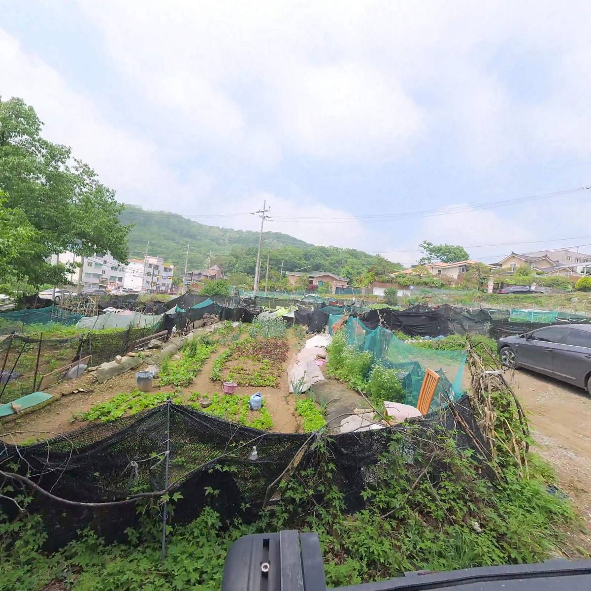 성실유치원(직장)_3