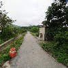 서종대왕낙지_2