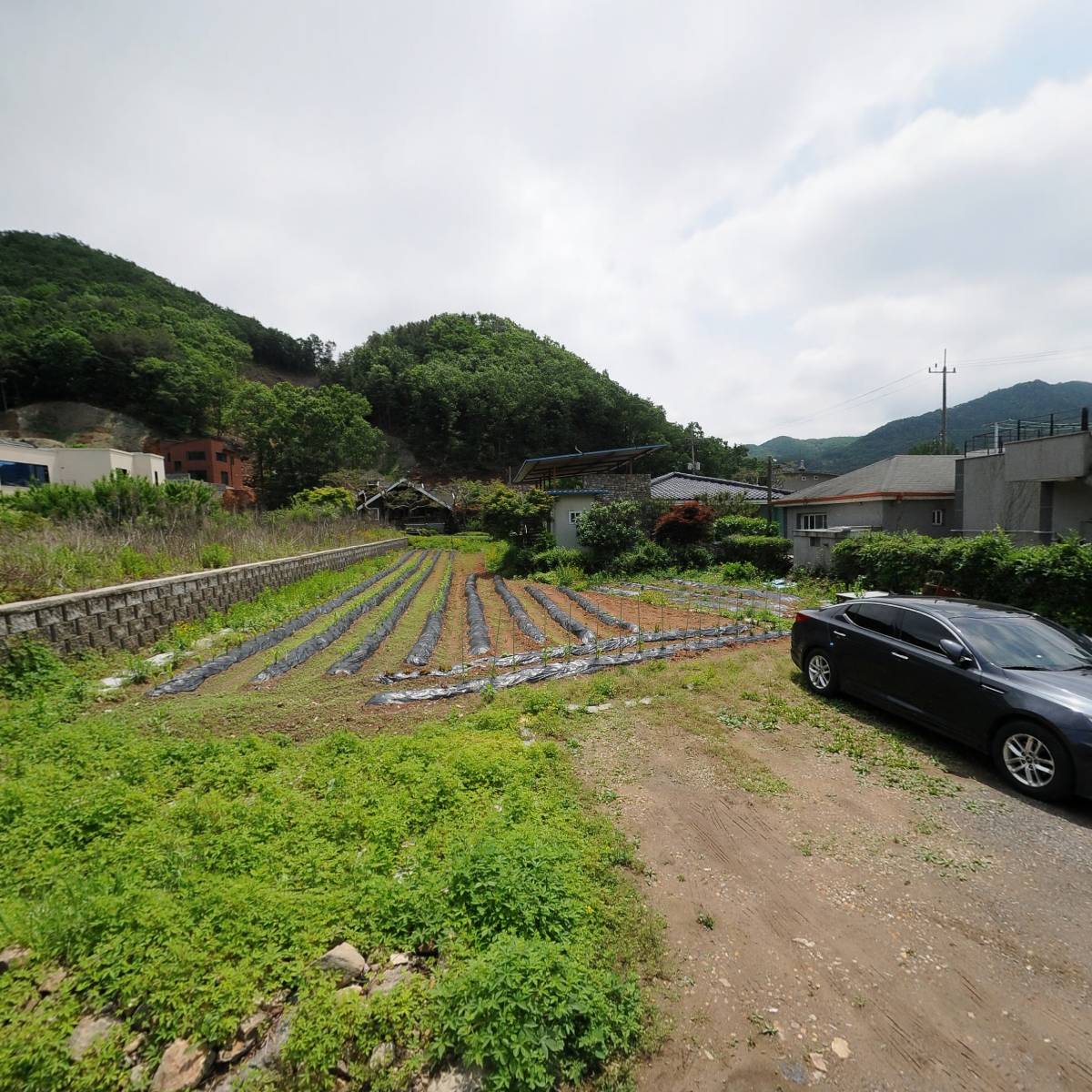 주식회사 왕자네 양평지점