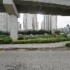 대박성