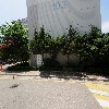 화이트스타_3