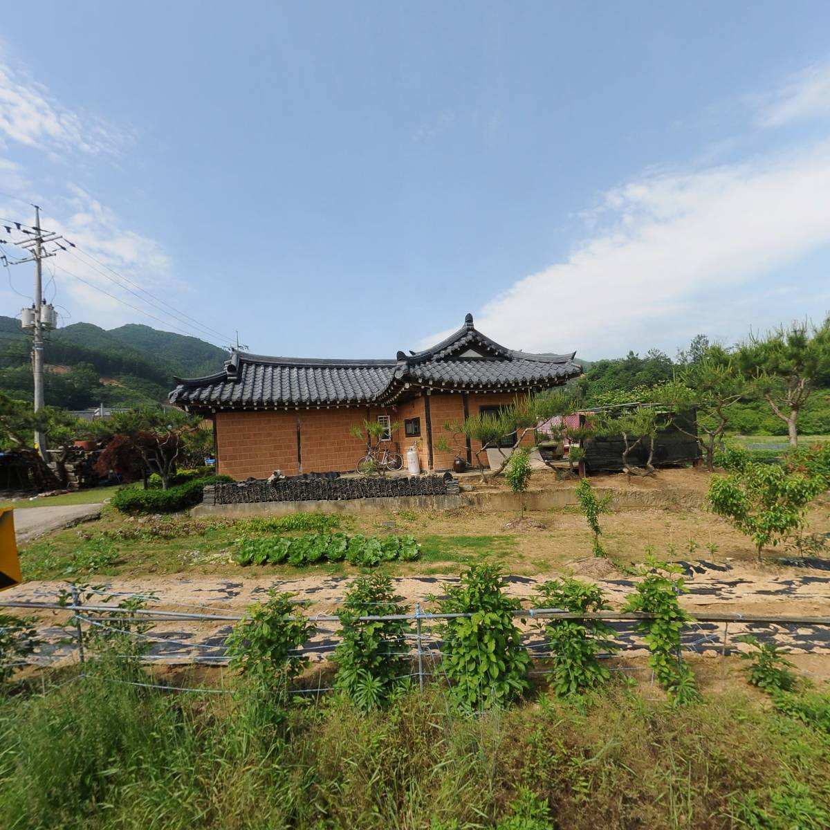 칠월애