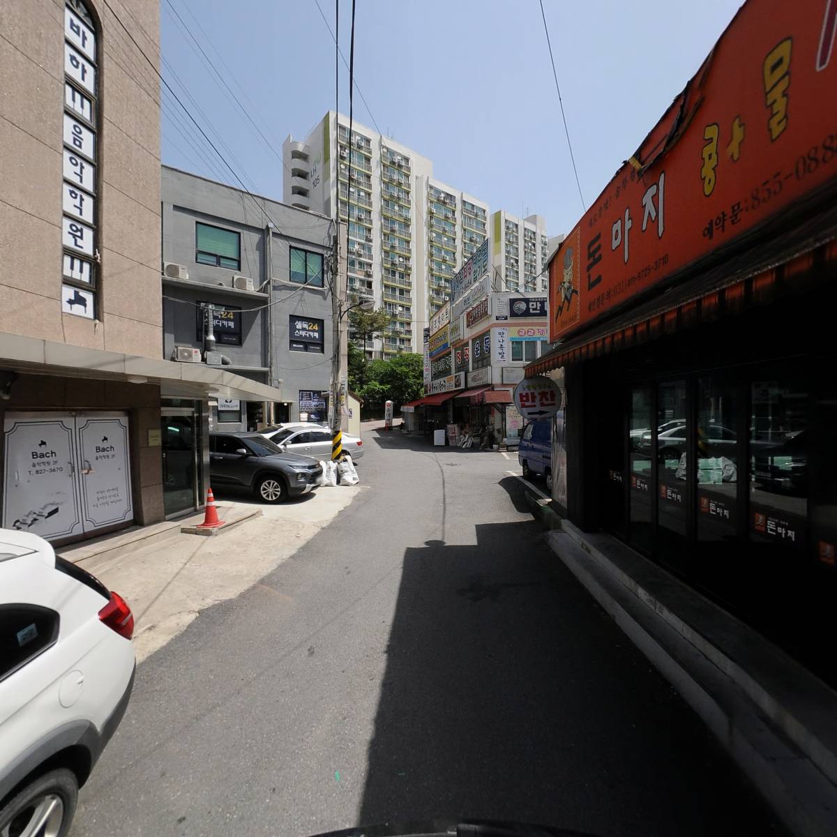 돈마지_2