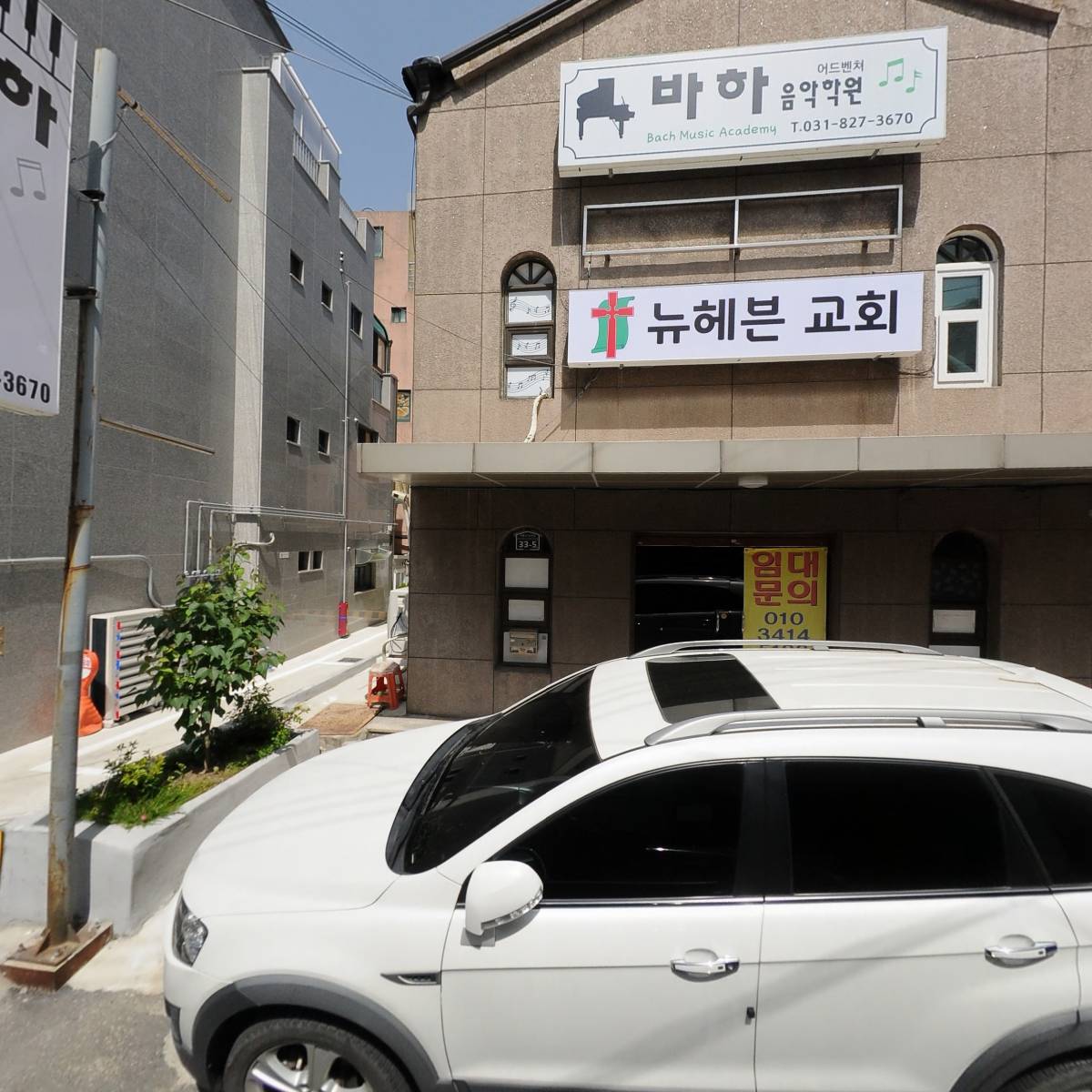 돈마지