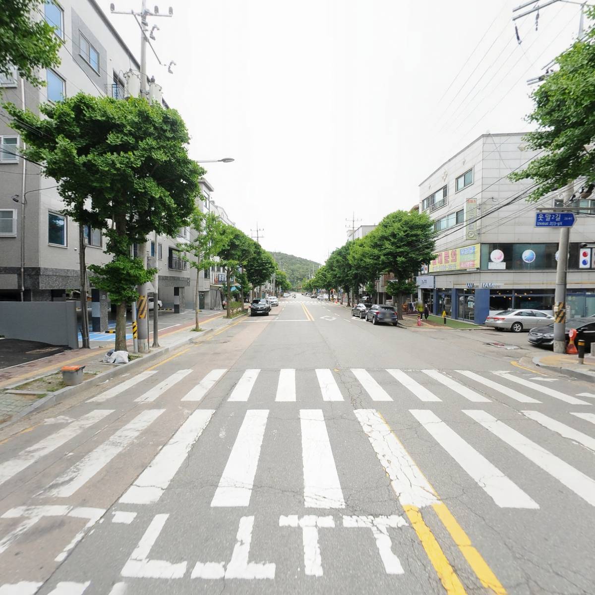 토마토도시락안산대학점_2