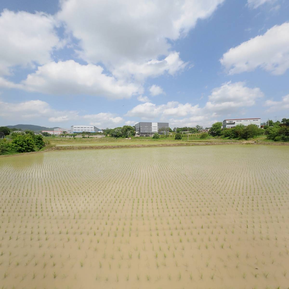 농업회사법인(주) 한우리종합식품