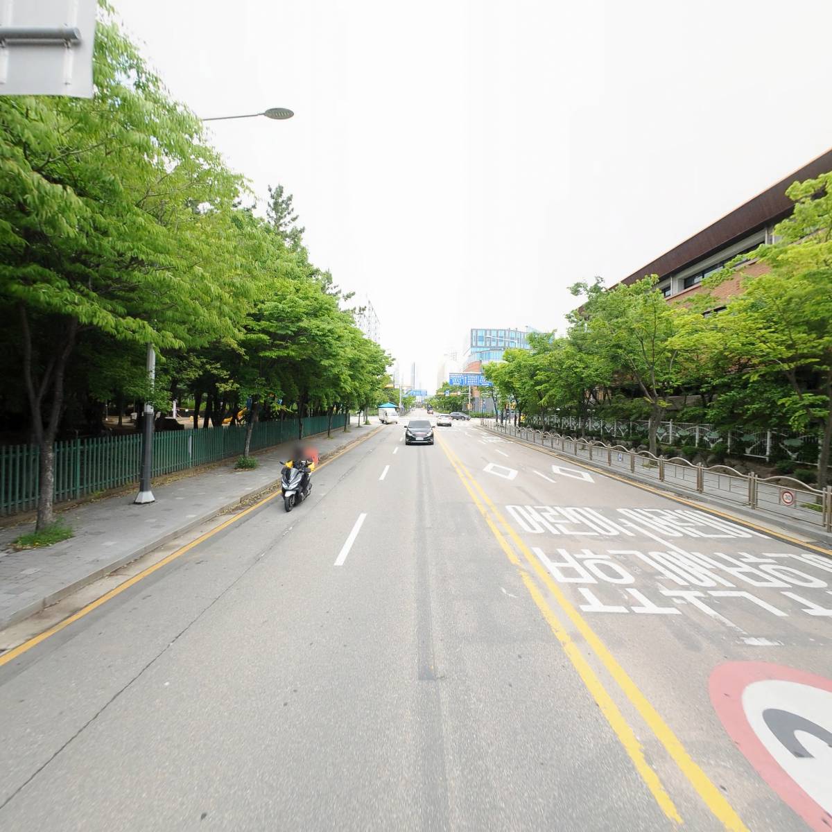 국가대표준태권도_2
