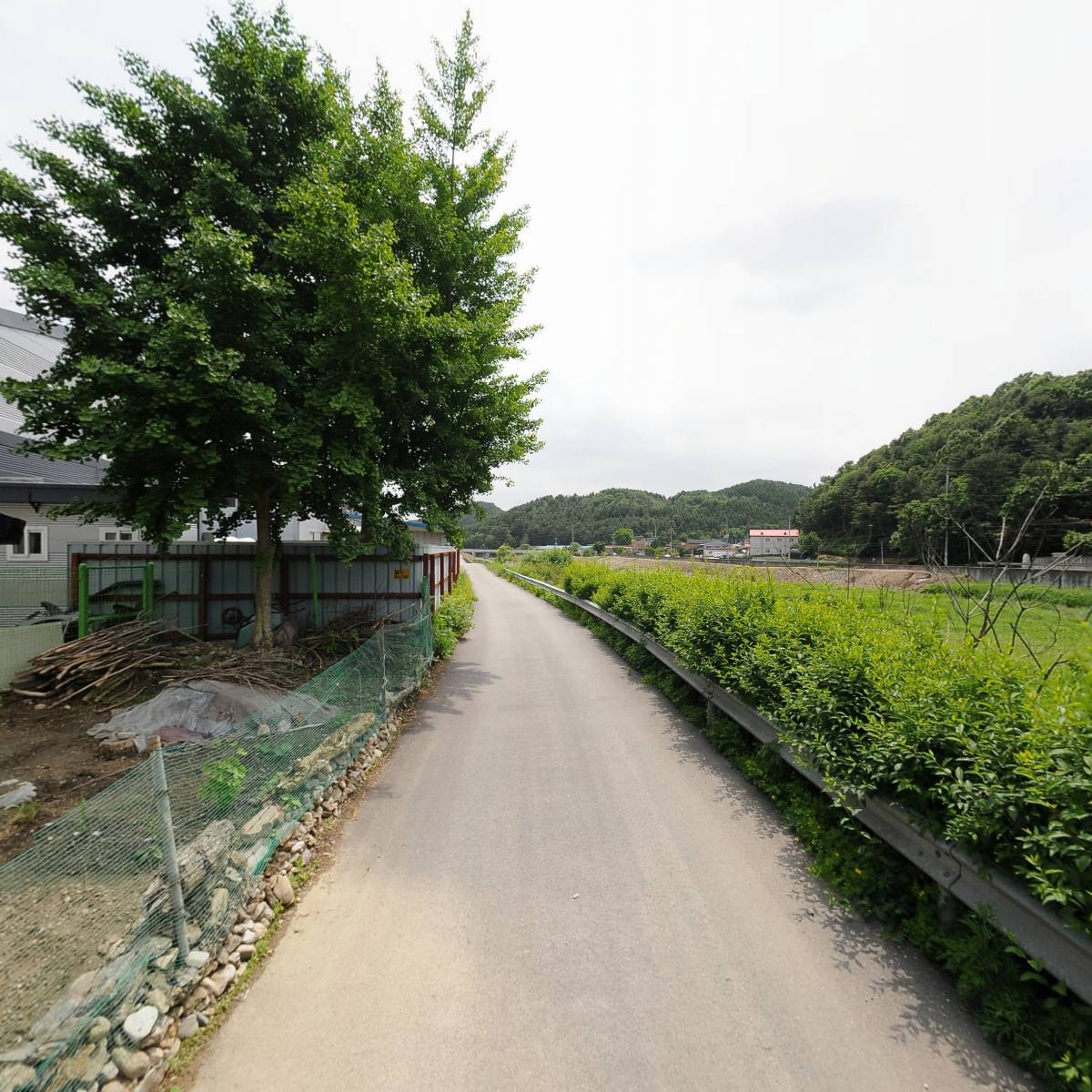 국민히타_2