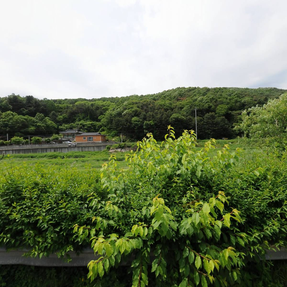 국민히타_3