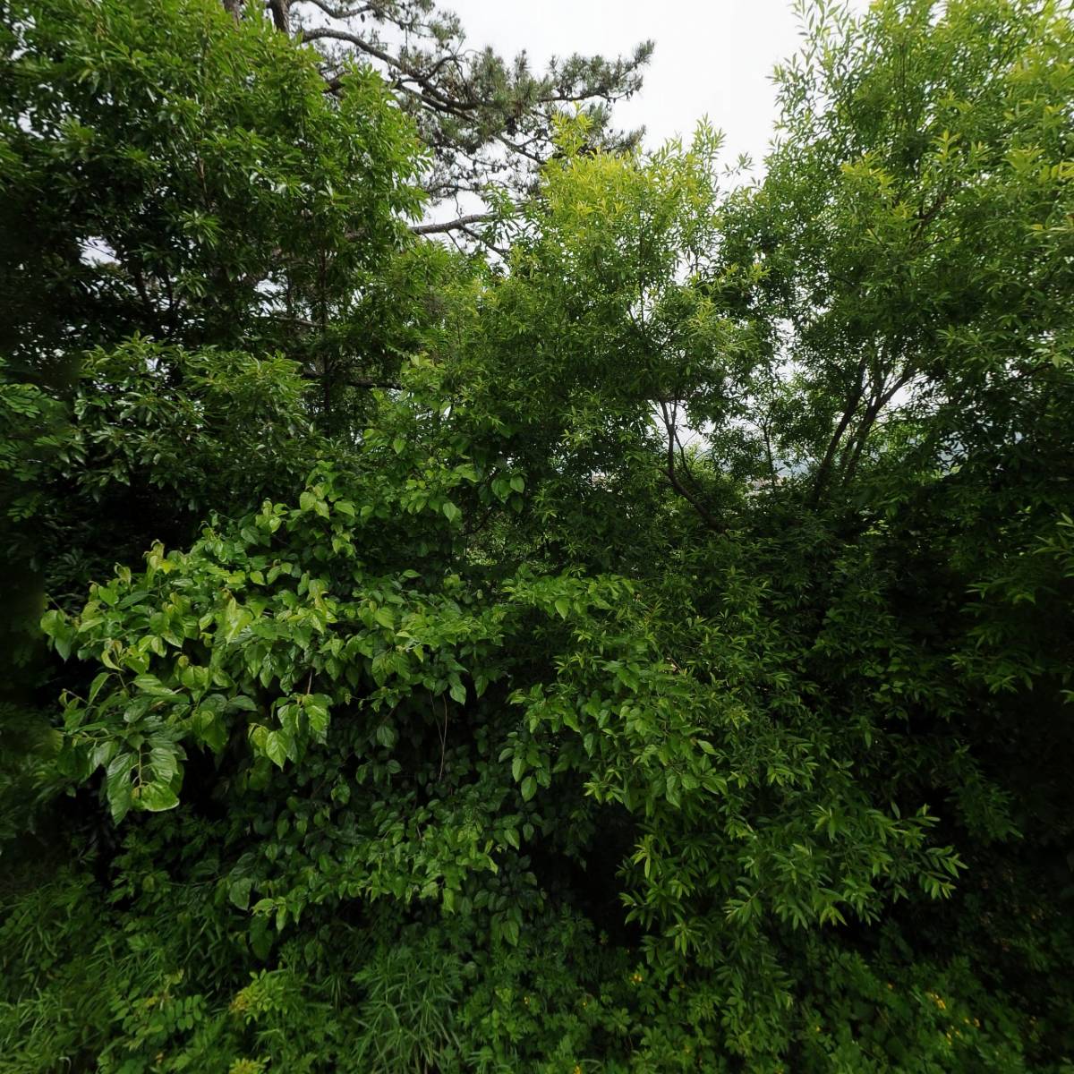 세응산업