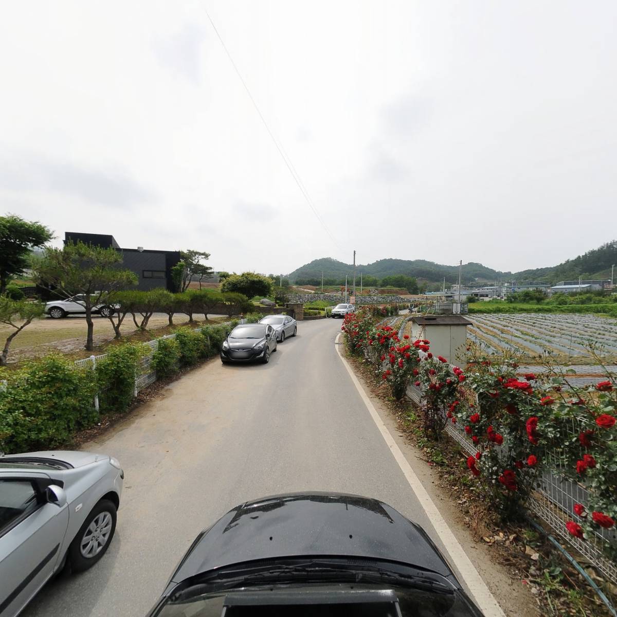 한리버_4