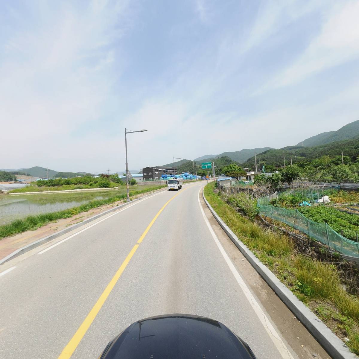 에버그린_4