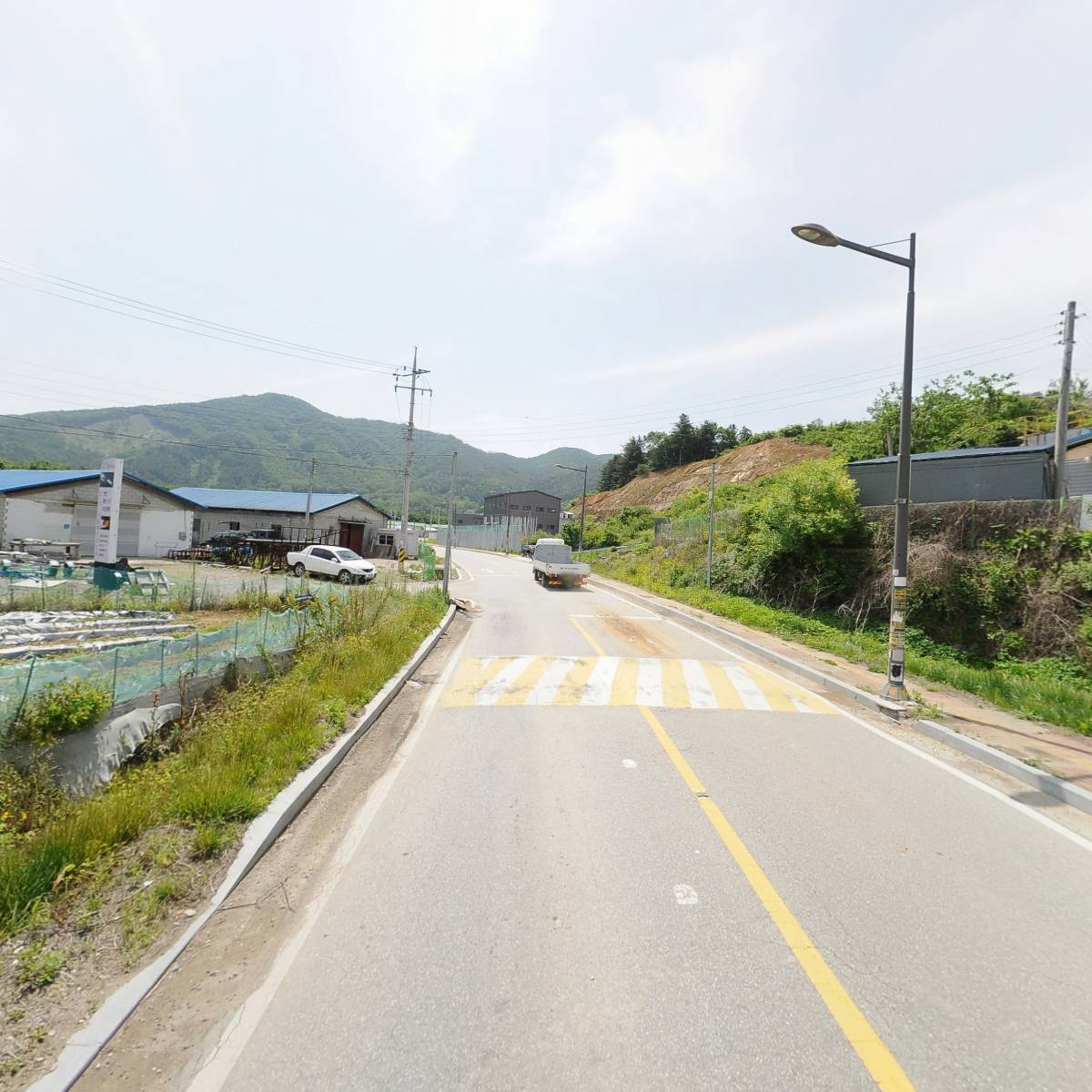 에버그린_2