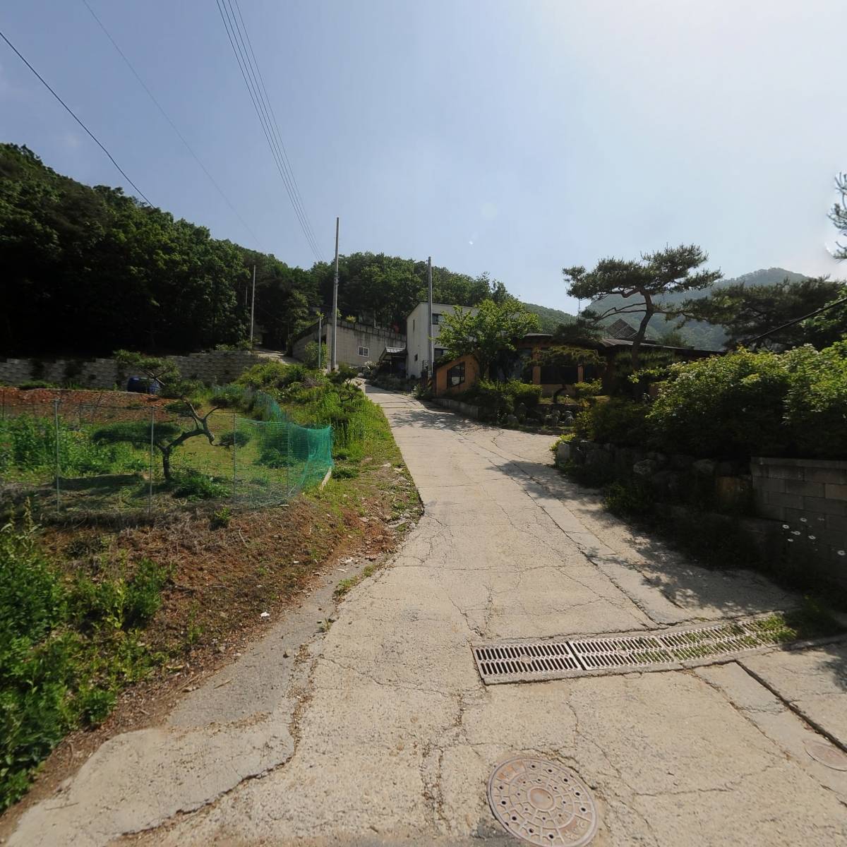 아이티 ( IT ) 뮤직카타