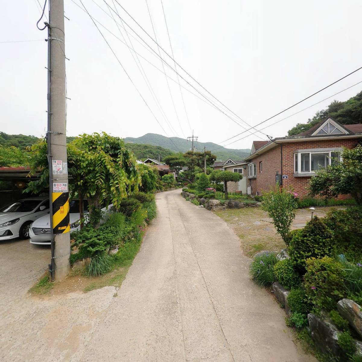 레코드커피로스터즈(RECORD COFFEE ROASTERS)_2