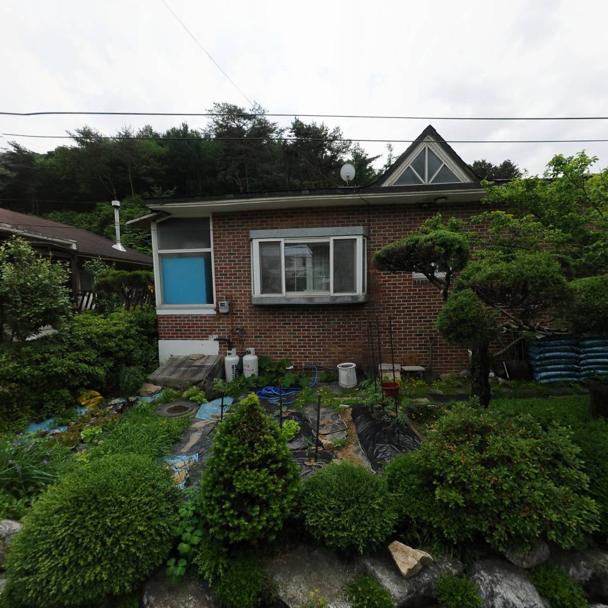 레코드커피로스터즈(RECORD COFFEE ROASTERS)_3