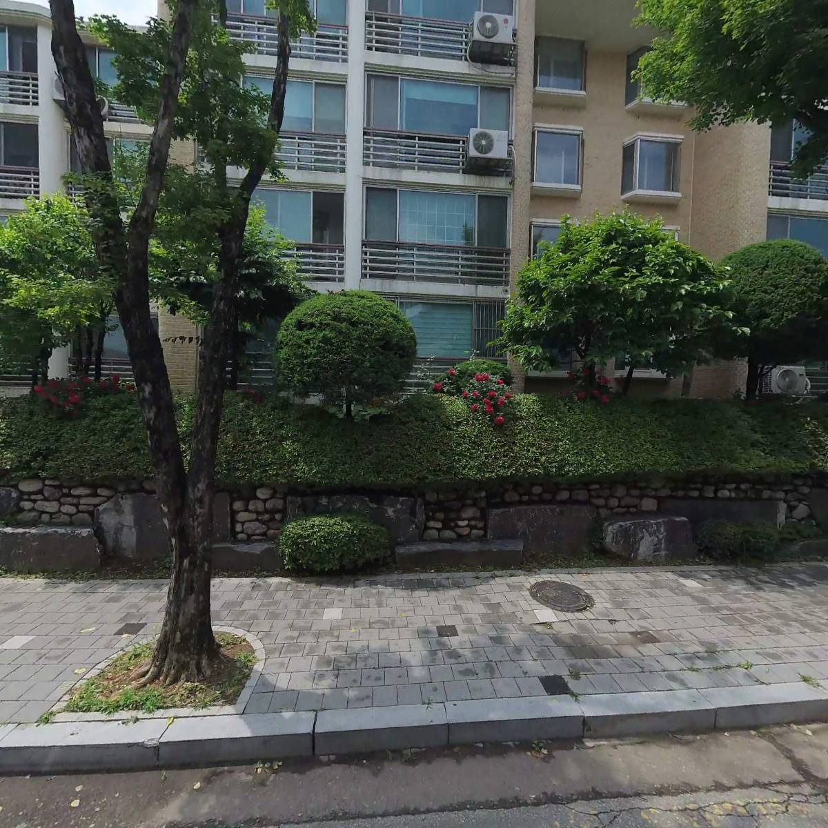 손수디아이와이_3