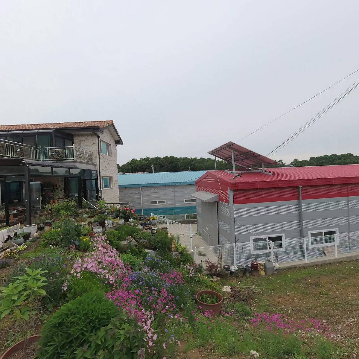 이코로즈돌_3