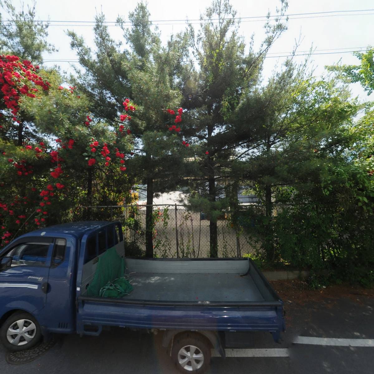 아이코닉스_3
