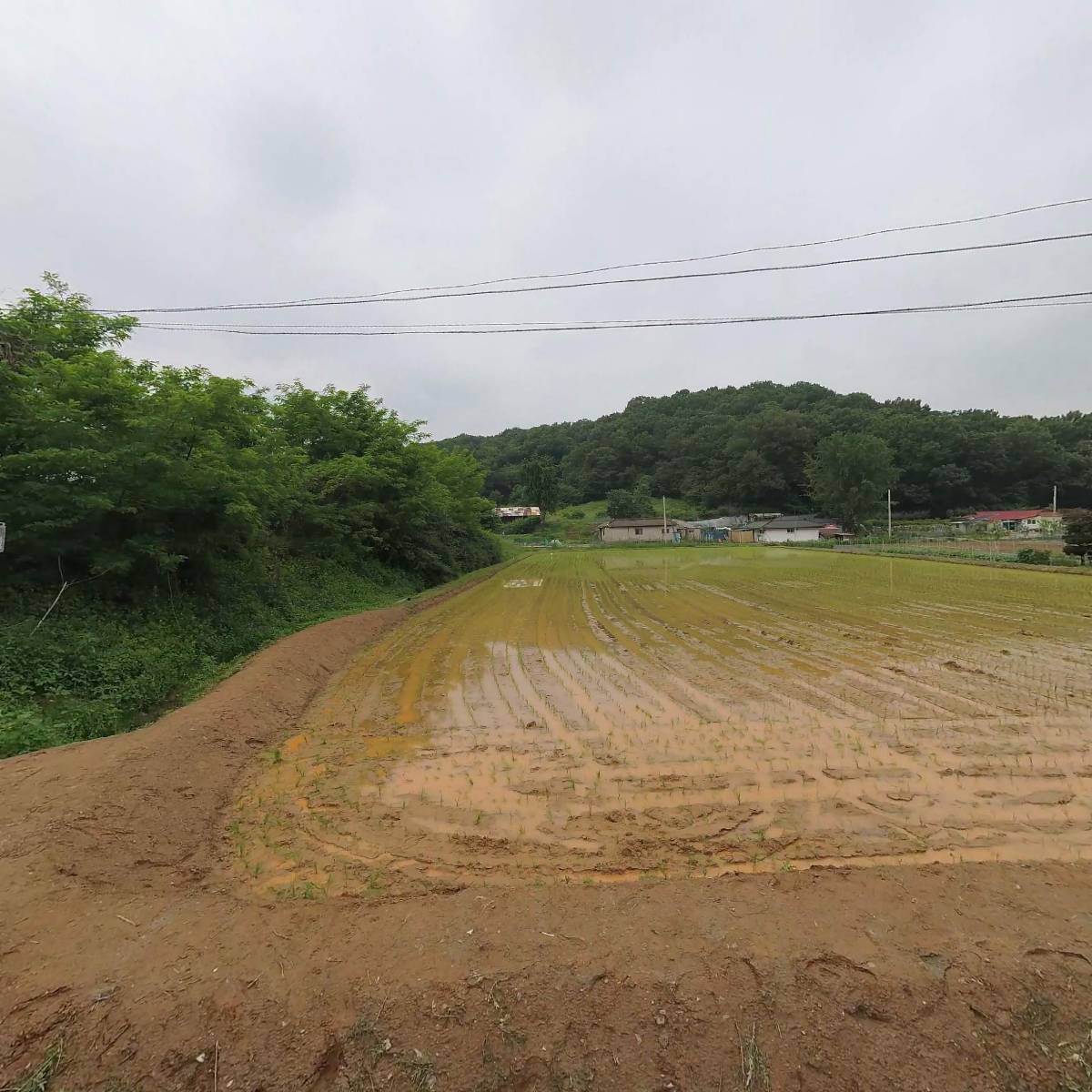 상원화학
