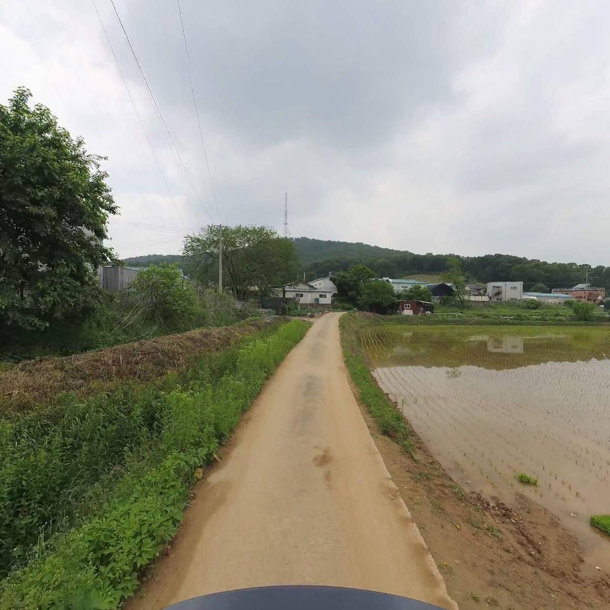 순천김씨목사공파종회_2