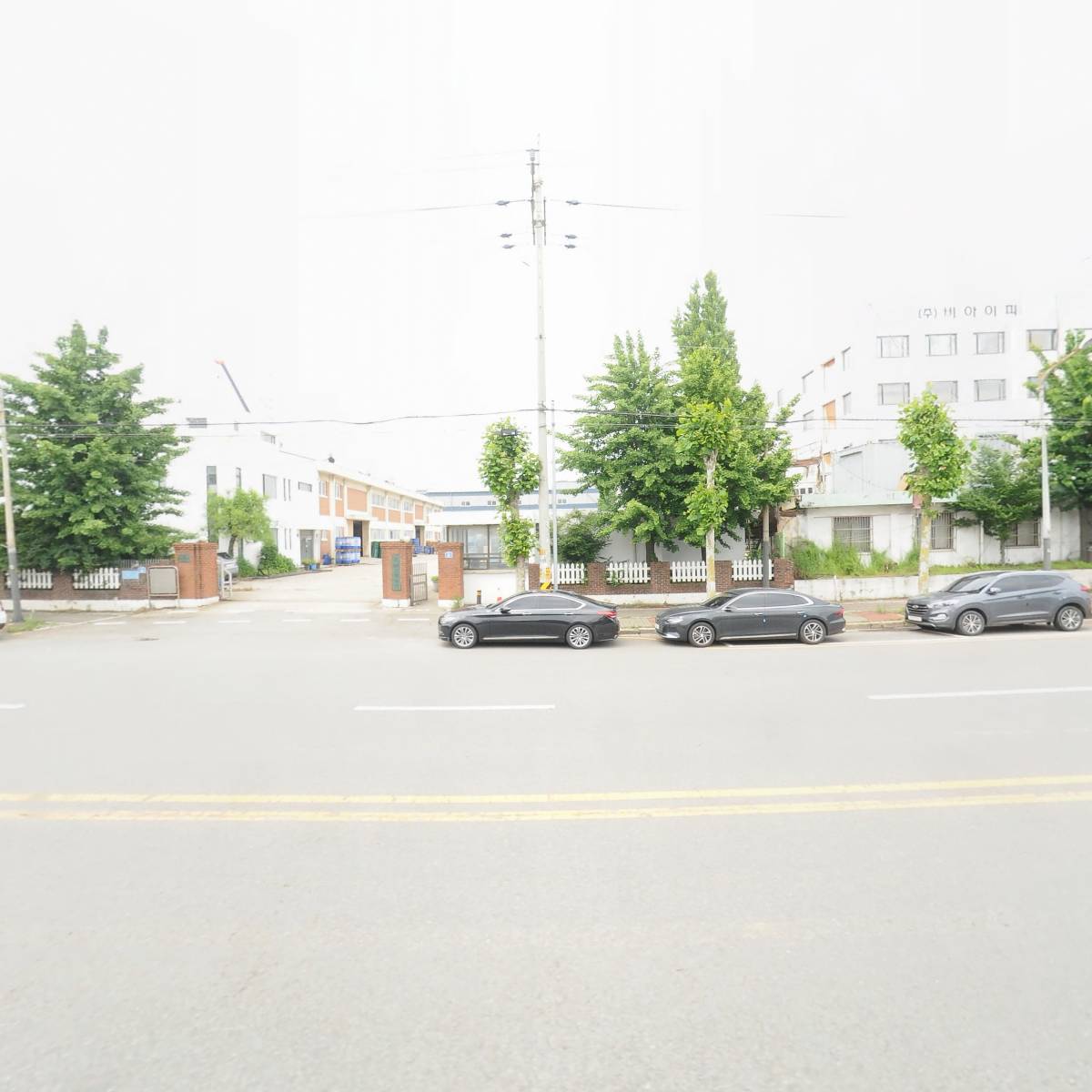 썬테크 롤러지_3