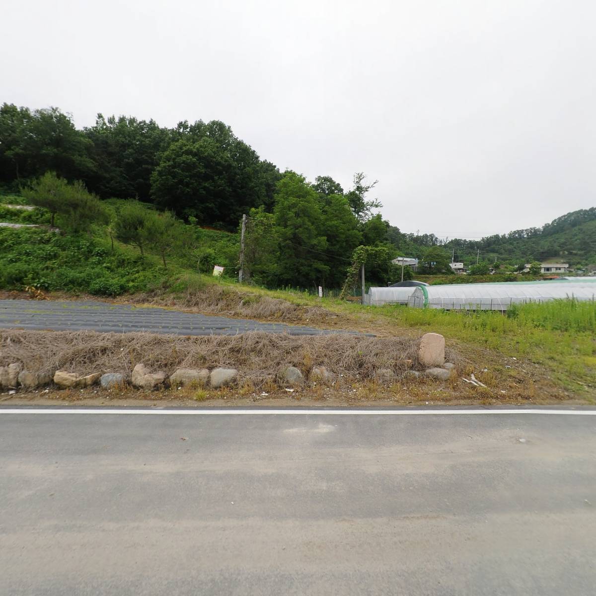 대광이엔티
