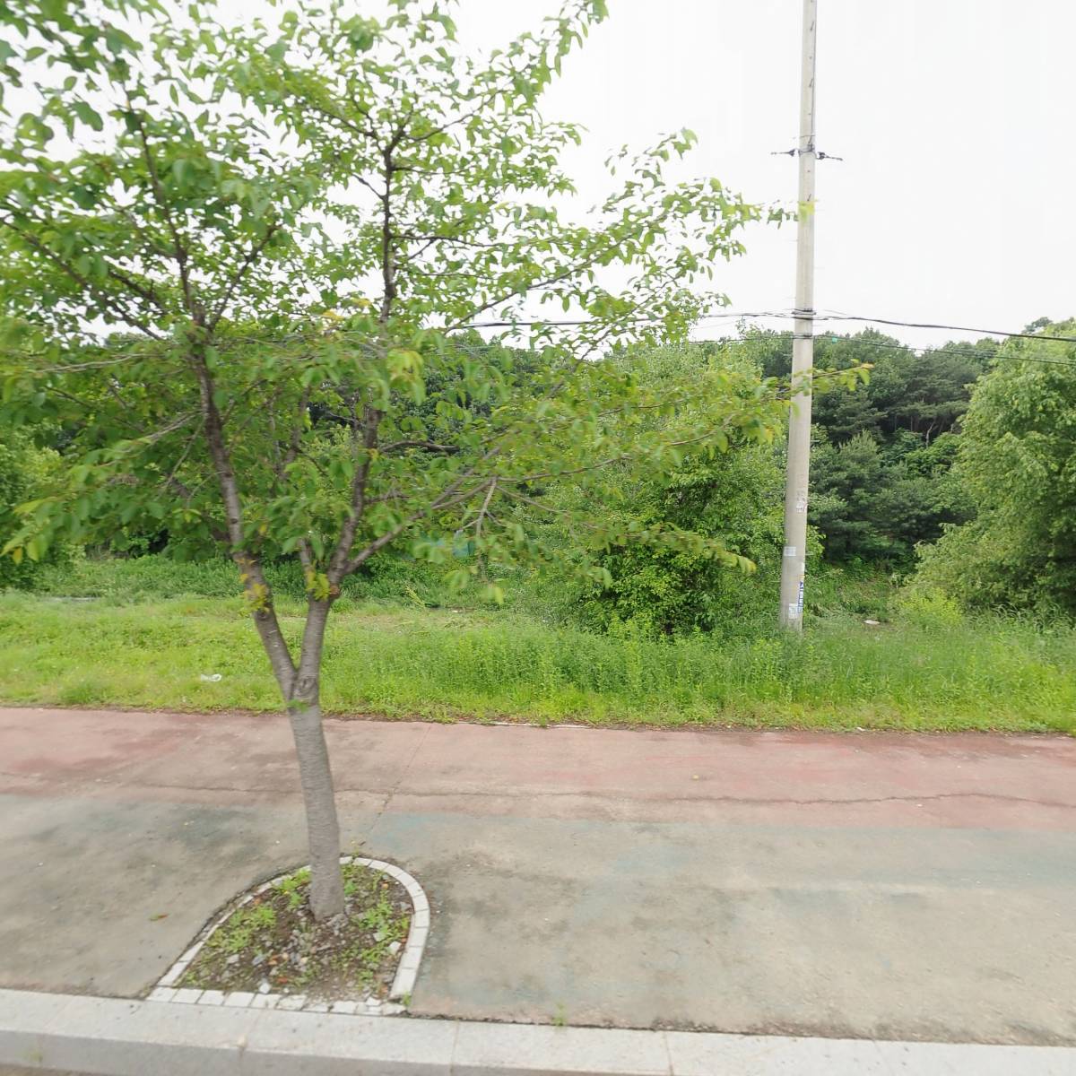세영케미칼