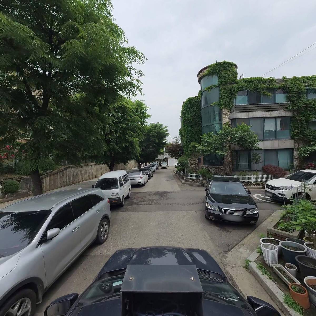 아트앤 (ArtAnn)_4