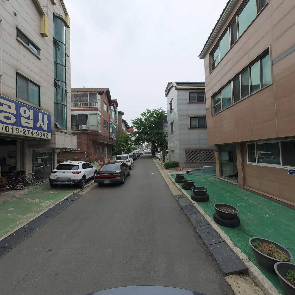 황금연와_2